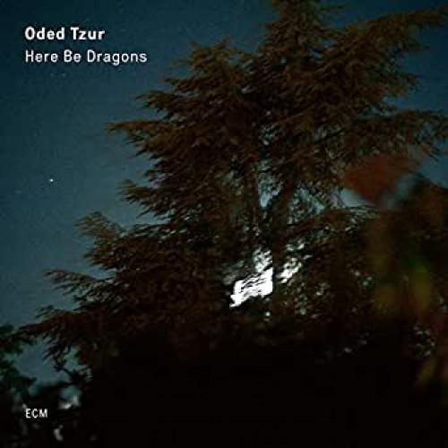 Виниловая пластинка ECM ODED TZUR, HERE BE DRAGONS (LP 180 gr)