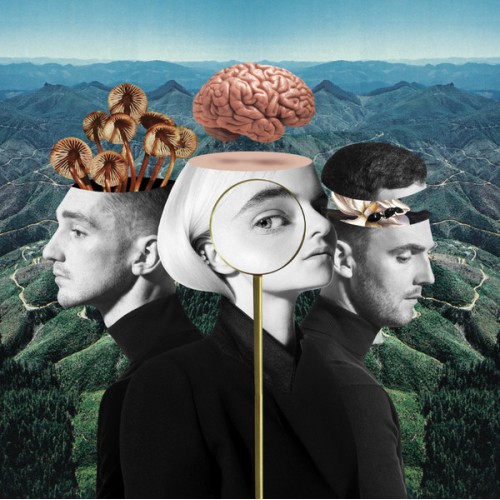 Виниловая пластинка WM Clean Bandit What Is Love? (Limited Red Vinyl/Gatefold)