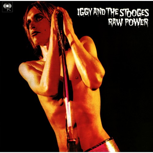 Виниловая пластинка Sony Iggy Pop / The Stooges Raw Power (180 Gram/Gatefold)