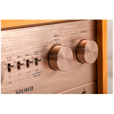 iFi Audio Retro Stereo 50