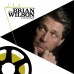 Виниловая пластинка Brian Wilson THE BRIAN WILSON ANTHOLOGY