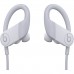 Наушники Beats Powerbeats (MWNW2EE/A), White