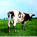 Виниловая пластинка Pink Floyd ATOM HEART MOTHER