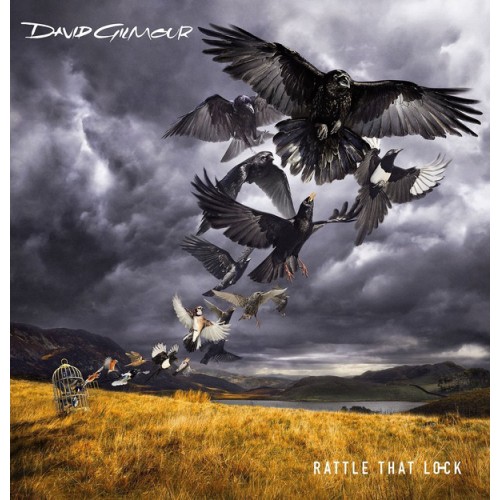 Виниловая пластинка David Gilmour RATTLE THAT LOCK (180 Gram)