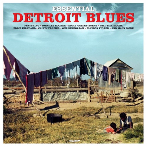 Виниловая пластинка FAT VARIOUS ARTISTS, ESSENTIAL DETROIT BLUES (180 Gram Black Vinyl)