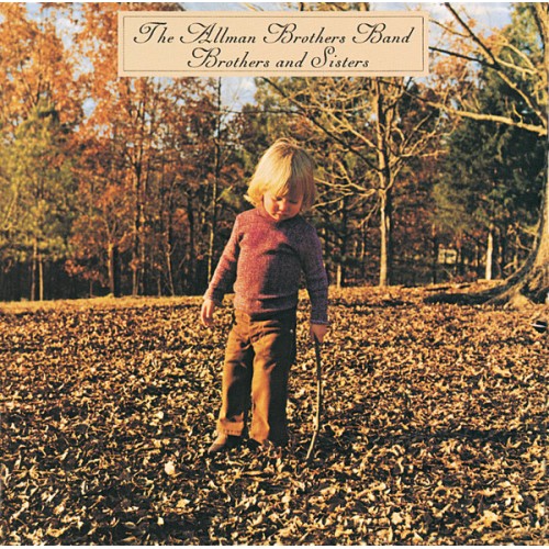 Виниловая пластинка Allman Brothers Band, The, Brothers And Sisters