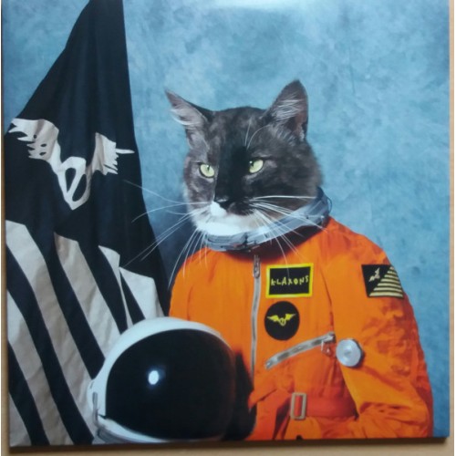 Виниловая пластинка Klaxons — SURFING THE VOID (RSD LIM.ED.,COLOURED) (2LP)