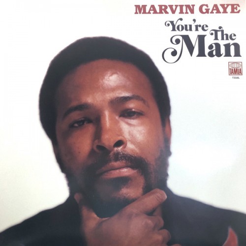 Виниловая пластинка Marvin Gaye, You're The Man