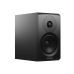 Полочная акустика Dynaudio New Emit 10 black