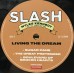 Виниловая пластинка WM Slash Living The Dream (180 Gram Black Vinyl/Gatefold)