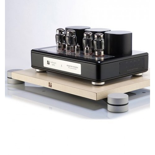 Ламповый усилитель Trafomatic Audio Evolution Elegance power (black/silver plates)